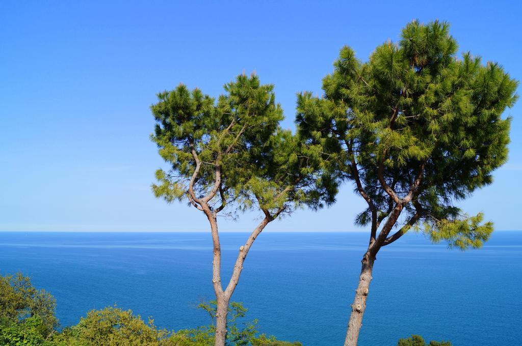 Bed and Breakfast Sea View Sirolo Di Amedeo Zewnętrze zdjęcie